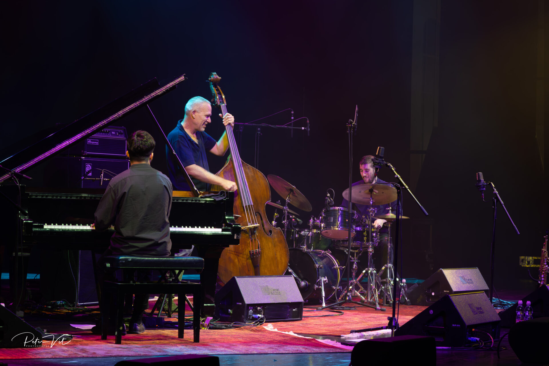 Avishai Cohen New Trio credit Peter Vit