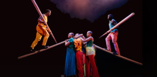 CIRCUS BAOBAB